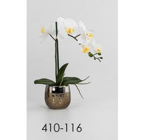 MACETA ORQUIDEA PHALAENOPSIS BLANCA 35 CMS