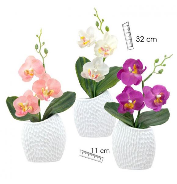 ORQUIDEA EN MACETA DE CERAMICA